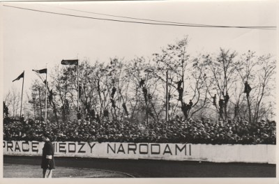 Zdjęcie 10